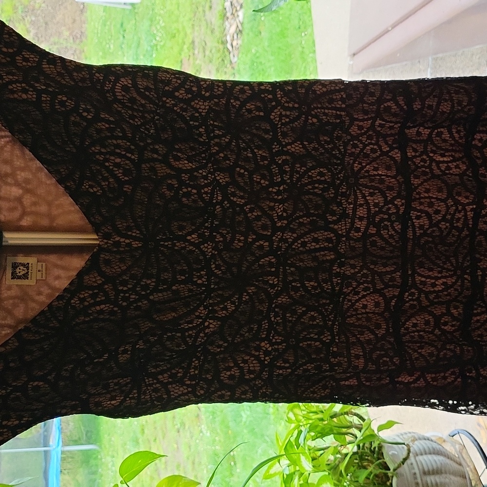 Elegant Black Lace Dress